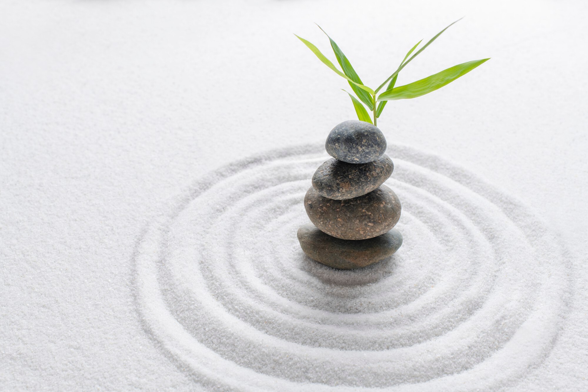 Wellness and balance